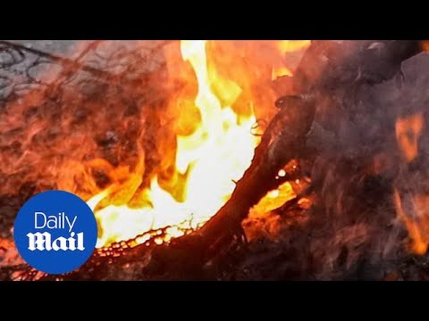 Russian soldier accidentally throws grenade at his comrade during failed attack in Belgorod