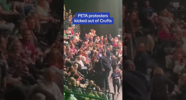 PETA activists were dragged out of Crufts dog show after protesting for ‘breeder boycotting' 😳