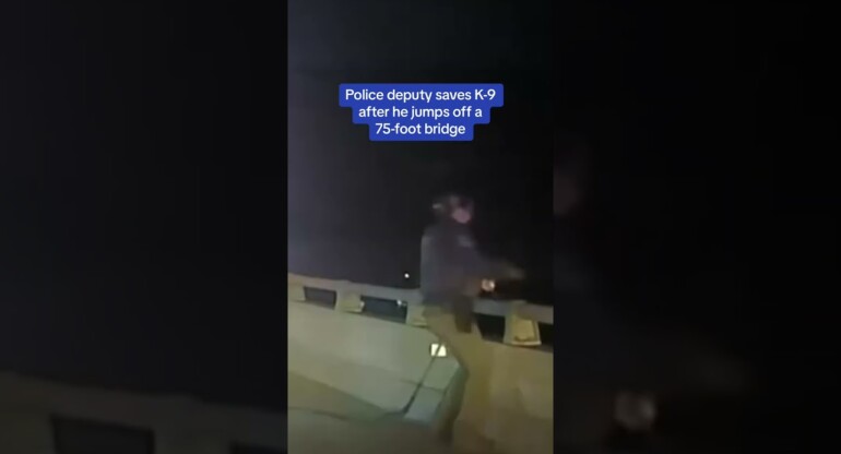 Police deputy SAVES K-9 dog after he jumps off a 75 foot bridge
