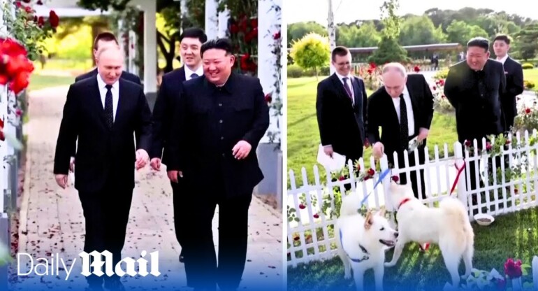 Putin and Kim Bond over shared love for animals and luxury cars during state visit