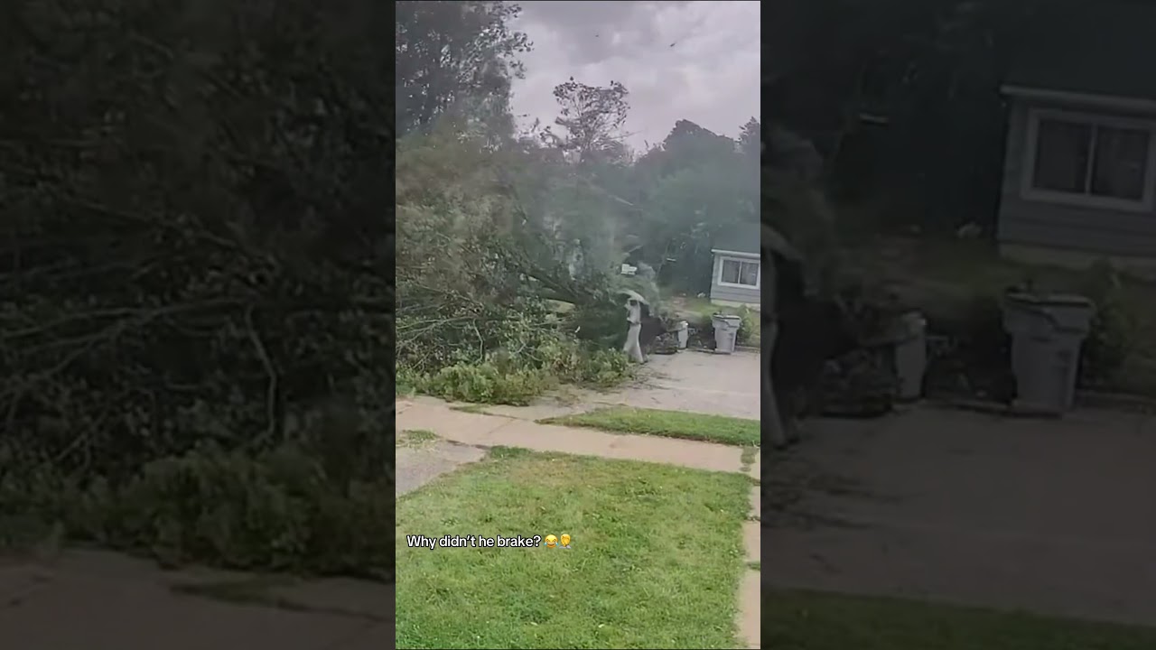 your local bury taxi august 29, 2024 cyclist crashes into a downed tree... 🌲 🚴‍♂️💨