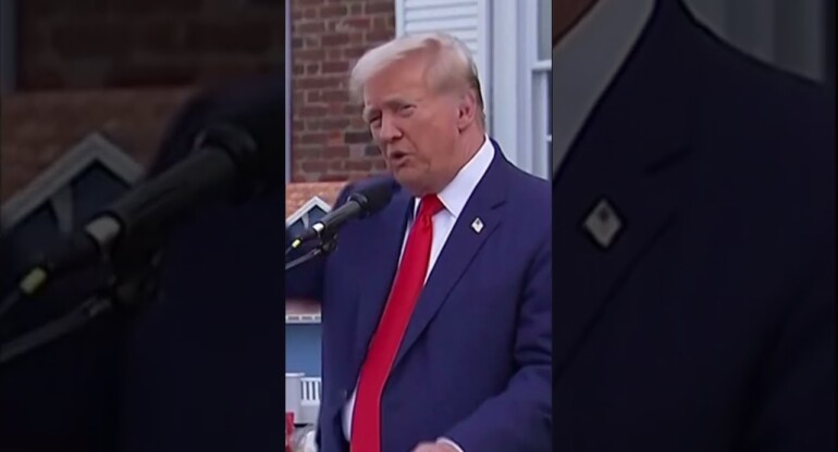 This fly couldn't get enough of Donald Trump