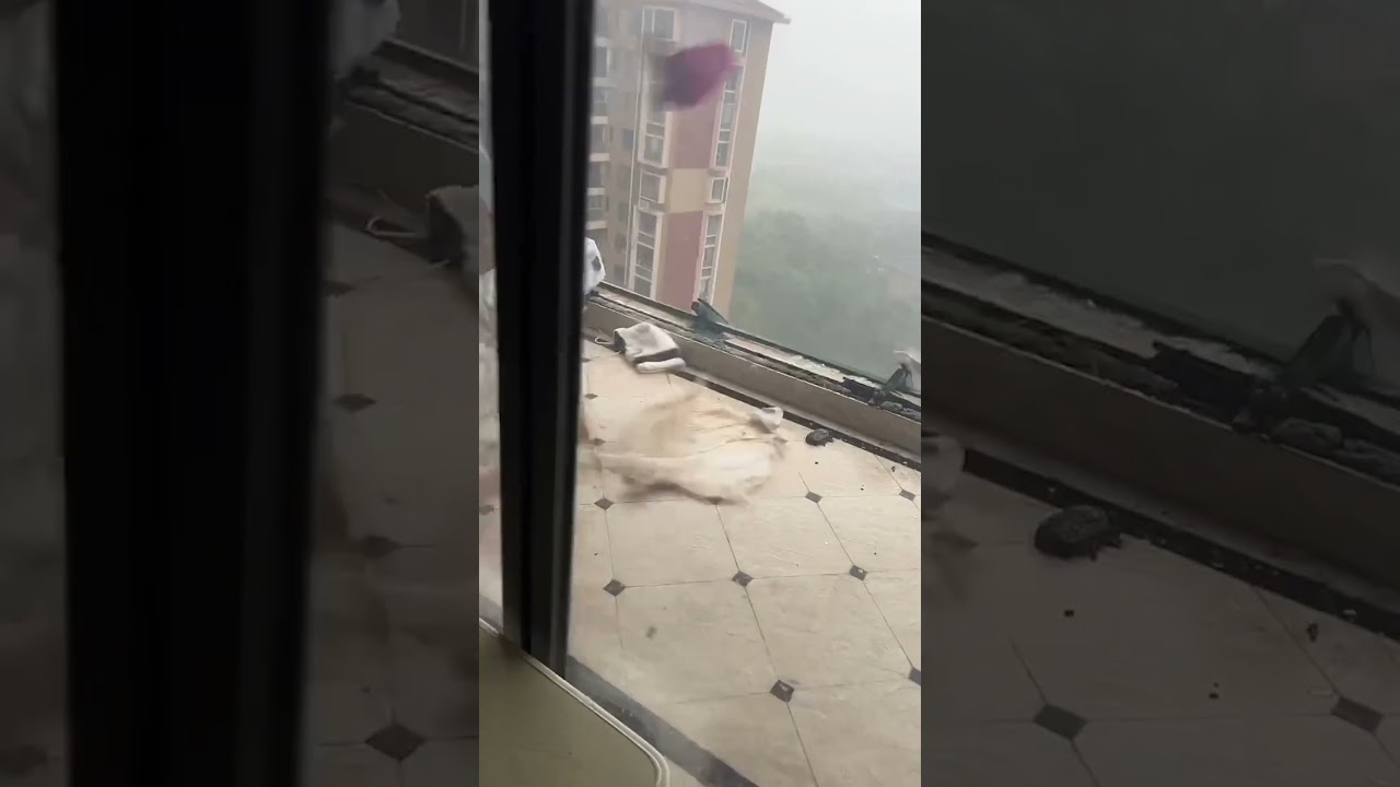 your local bury taxi september 9, 2024 super typhoon batters apartment windows