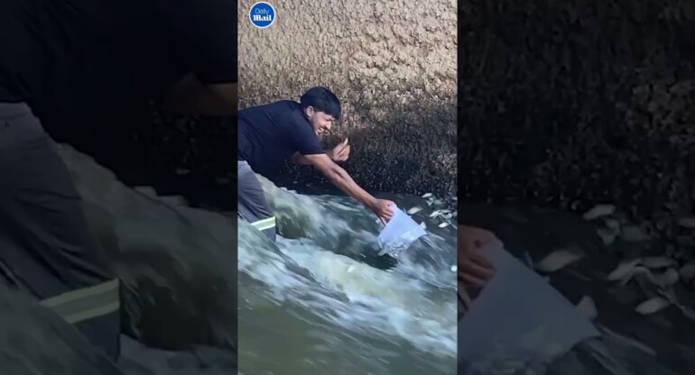 Man catches jumping fish with a jug - That's one way to do it