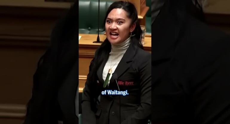 Moment Haka protest erupts in New Zealand parliament over controversial bill