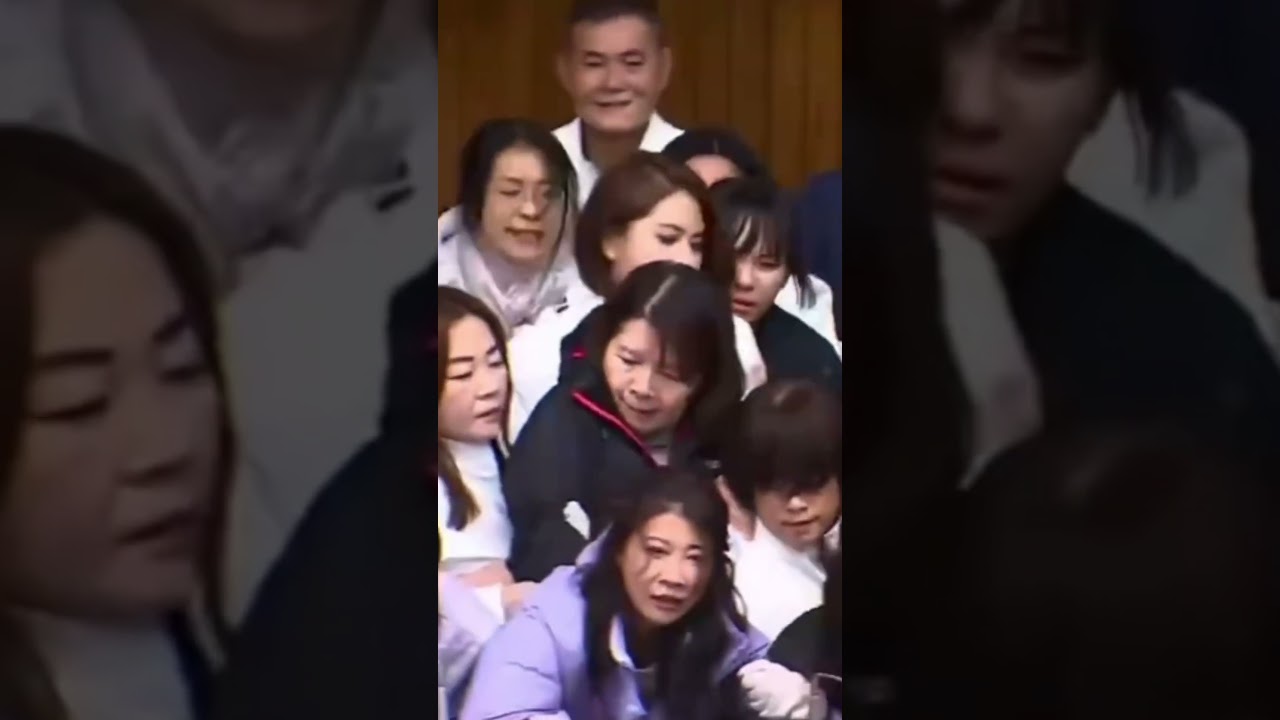 your local bury taxi december 20, 2024 massive brawl erupts in taiwan parliament