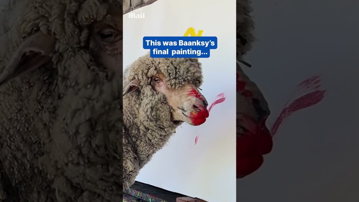 your local bury taxi february 13, 2025 baanksy the painting sheep goes missing