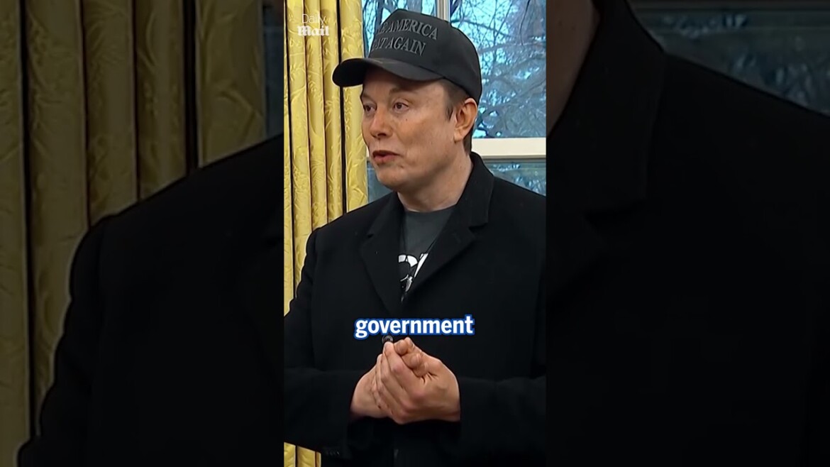 your local bury taxi february 12, 2025 elon musk laughs off accusations that he is orchestrating a coup