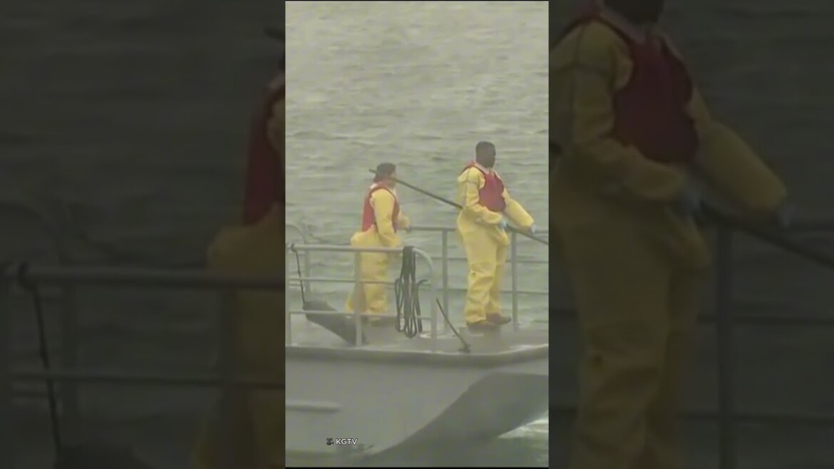 your local bury taxi february 13, 2025 emergency crews rush to navy jet crash