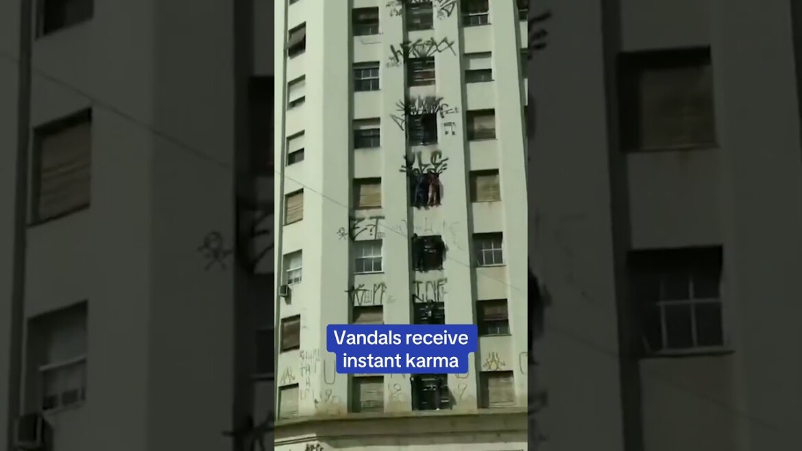 your local bury taxi february 12, 2025 graffiti vandals in brazil receive instant karma