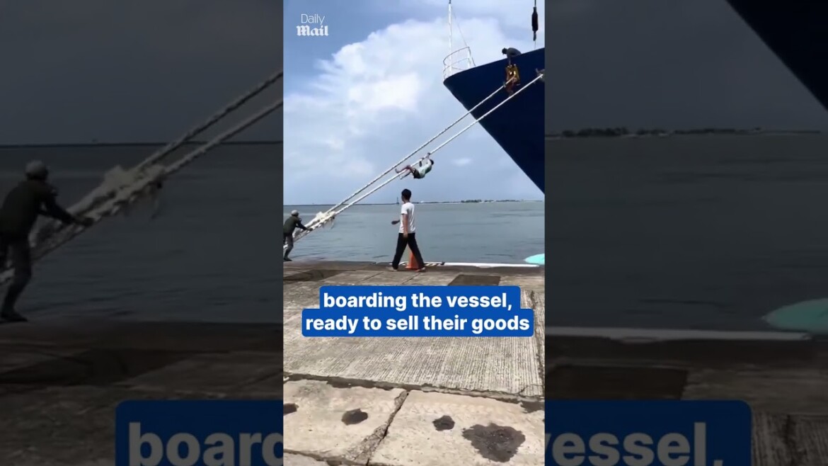 your local bury taxi february 12, 2025 hawkers climb ship ropes with marine-like agility