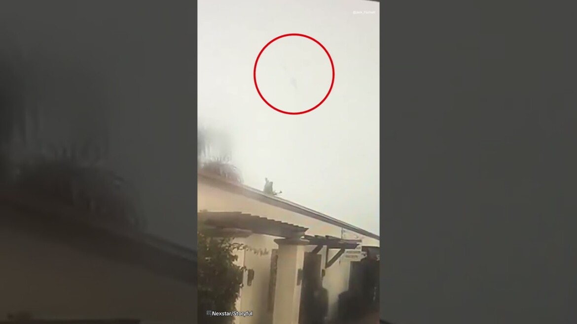 your local bury taxi february 13, 2025 horrifying new angle of navy jet falling from the sky