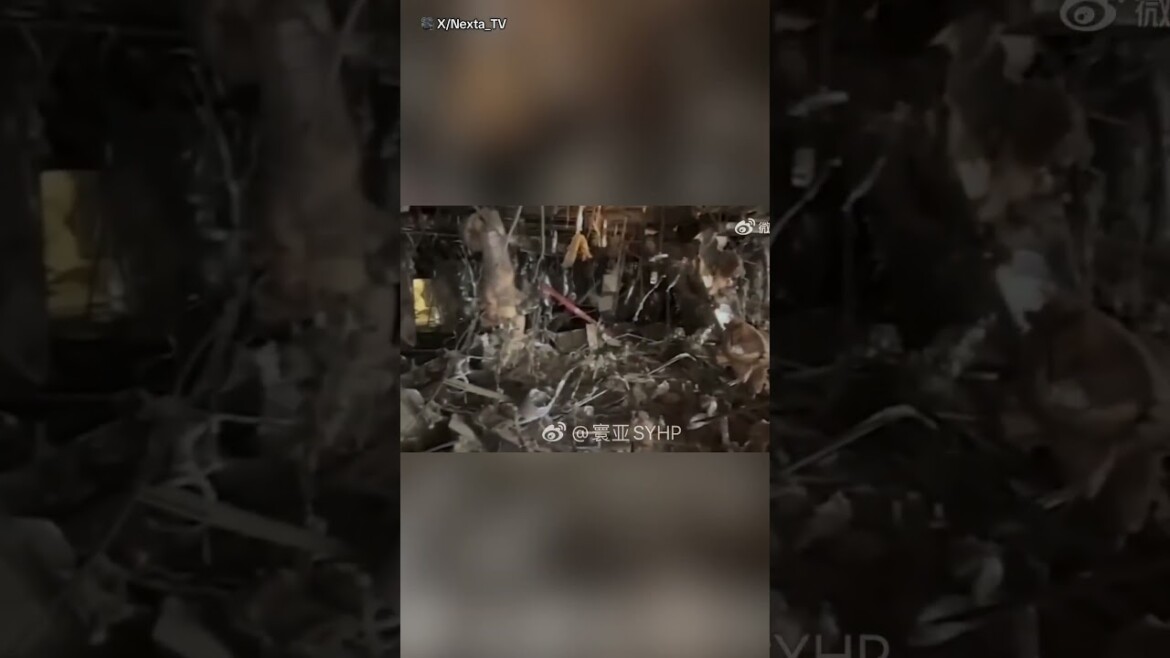 your local bury taxi february 13, 2025 moment a gas explosion strikes taiwan mall