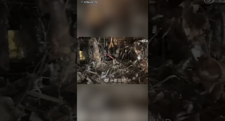 Moment a gas explosion strikes Taiwan mall