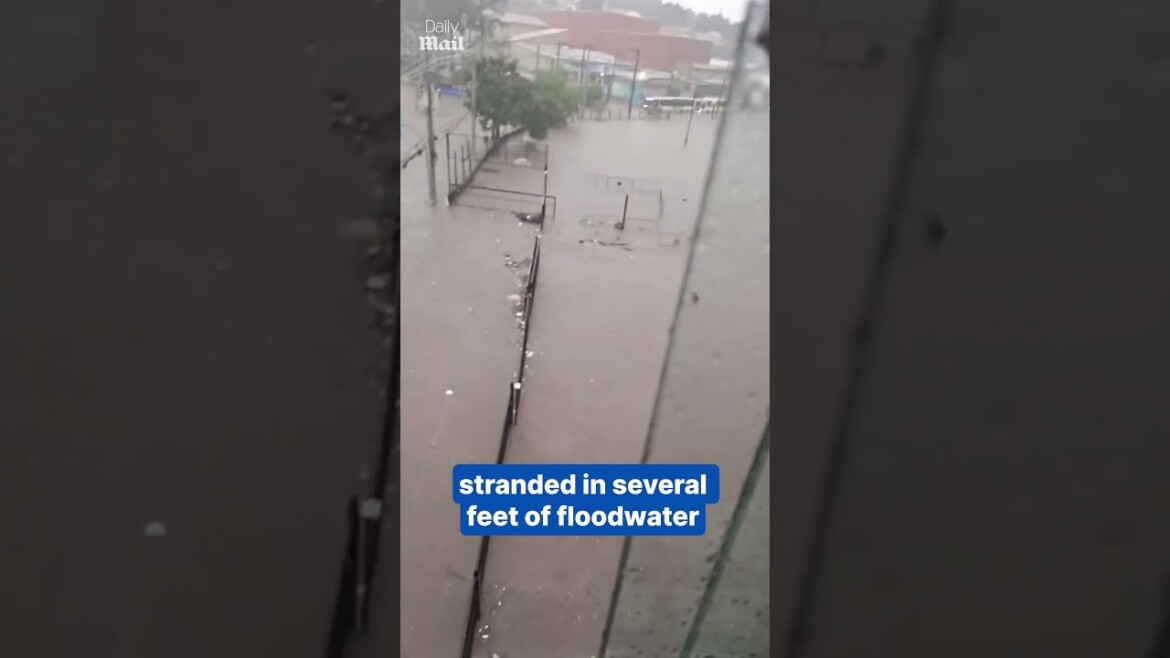 your local bury taxi february 13, 2025 people swim in floodwaters after bus gets stuck