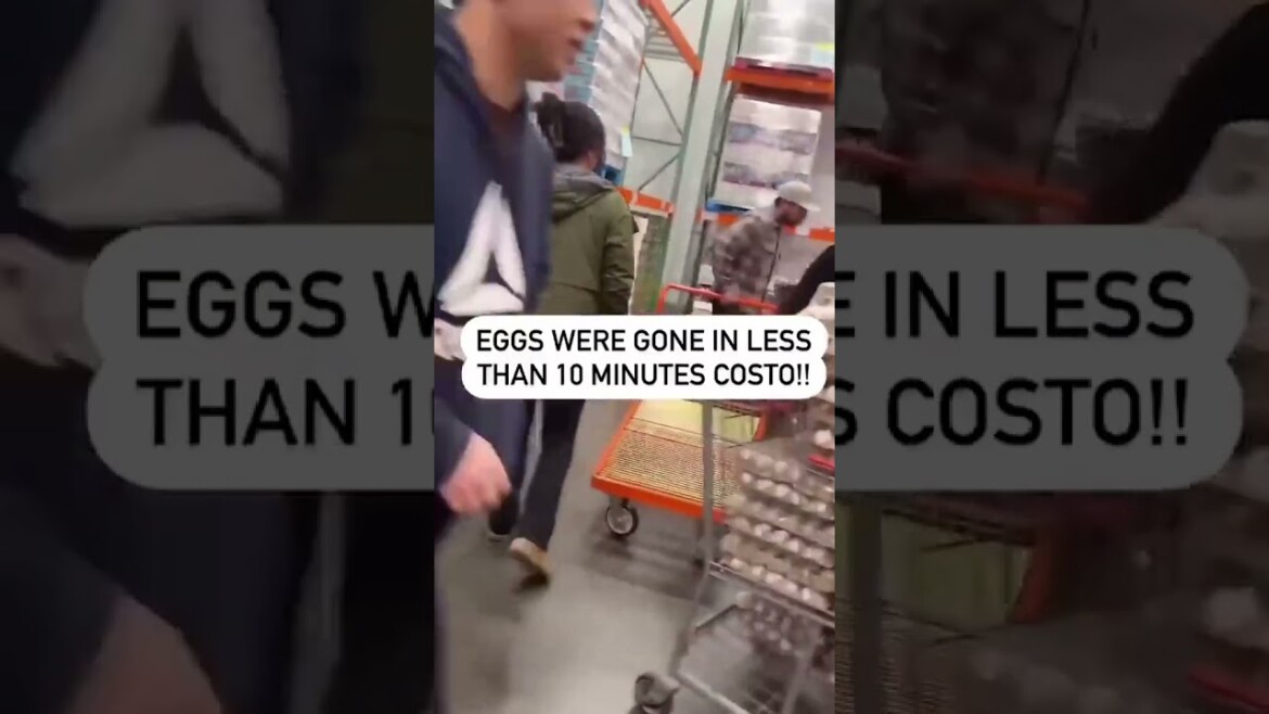 your local bury taxi february 10, 2025 shoppers stockpile eggs as prices rise