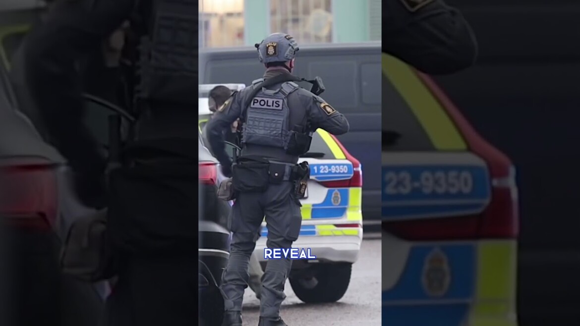 your local bury taxi february 5, 2025 swedish mass-shooter was a 'loner'
