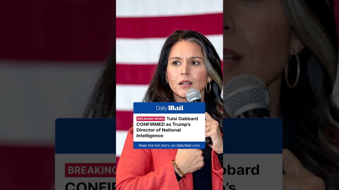 your local bury taxi february 12, 2025 tulsi gabbard confirmed as trump's director of national intelligence